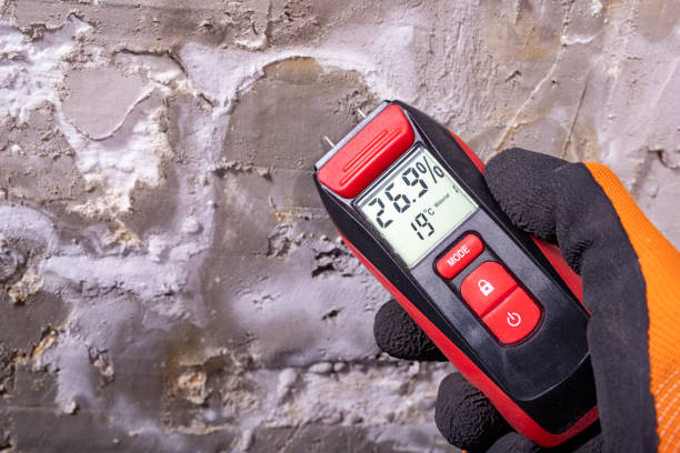 Best Mold Testing  in Tolar, TX