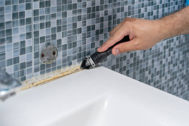 Best Commercial Mold Removal  in Tolar, TX