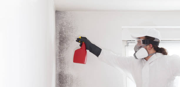 Best Residential Mold Removal  in Tolar, TX